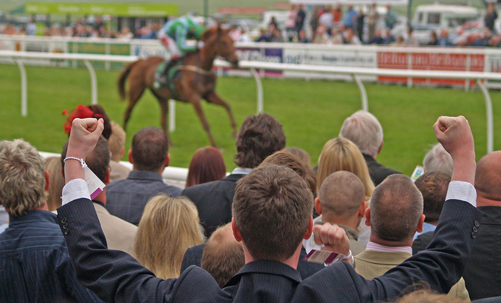 how to plan a day out at the races