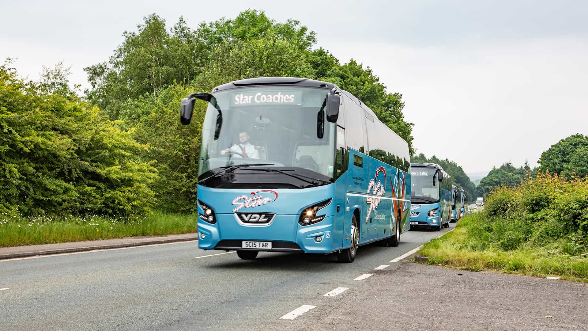 A fleet of Star  Coach Hire Comparison driving on a tree-lined road.